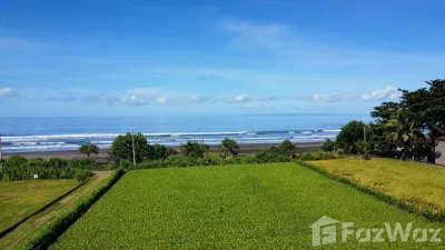 /international/id/jembrana-indonesia-jembrana-provinsi-bali-340000064213/