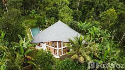 /international/id/sd-negeri-5-puhu-puhu-kel-payangan-gianyar-80572-indonesia-gianyar-bali-340065934391/