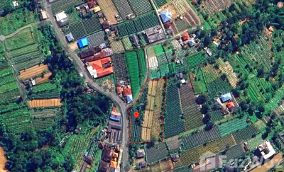 /international/id/bangli-baturiti-tabanan-bali-nusa-tenggara-82191-indonesia-tabanan-bali-340066164285/