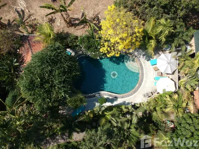 /international/id/hibiscus-house-bali-eco-guesthouse-pemuteran-kel-gerokgak-buleleng-81155-indonesia-buleleng-bali-340066164374/