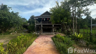 /international/th/thayakhon-nursing-and-midwife-clinic-หมู่ที่-12-ห้วยสัก-เชียงราย-57000-ประเทศไทย-เชียงราย-340000029460/