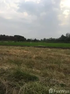 /international/th/วัดตาลเดี่ยว-ตาลเดี่ยว-แก่งคอย-สระบุรี-18110-ประเทศไทย-แก่งคอย-340000148142/