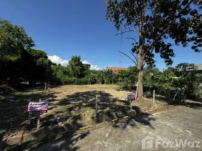 /international/th/2-km-highway-1001-nong-chom-san-sai-chiang-mai-50210-tha-nong-chom-chiang-mai-340065906990/