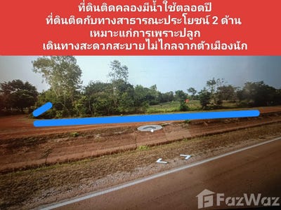 /international/th/ทางหลวงชนบท-สน-2056-ขมิ้น-สกลนคร-47220-ประเทศไทย-สกลนคร-340000135849/
