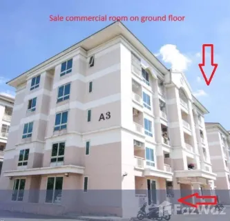 /international/th/73210-sam-phran-nakhon-pathom-tha-n-a-changwat-nakhon-pathom-340065859240/