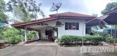 /international/th/ร้านในดำนน-เอกรักษ์เจริญพร-หมู่ที่-1-น้ำบ่อหลวง-สันป่าตอง-เชียงใหม่-50120-ประเทศไทย-สันป่าตอง-340000129376/