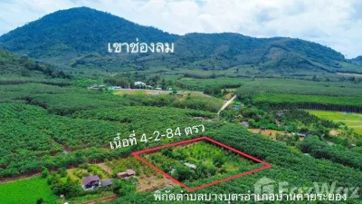 /international/th/บ้านบึงต้นชัน-ชากบก-อำเภอบ้านค่าย-จังหวัดระยอง-ประเทศไทย-บ้านค่าย-340066165771/