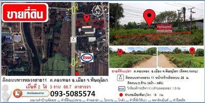 /international/th/11-ดอนทอง-พิษณุโลก-65000-ประเทศไทย-พิษณุโลก-340000076041/