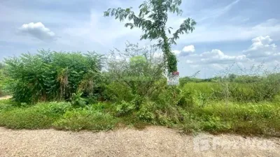 /international/th/บ้านนา-นครนายก-26110-ประเทศไทย-บ้านนา-chaiyaphum-340065862171/