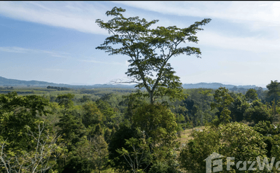 /international/th/น้ำตกบางแป-ป่าคลอก-ถลาง-ภูเก็ต-83110-ประเทศไทย-ถลาง-340066049874/