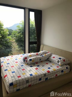 /international/th/the-deck-ถนนเฉลิมพระเกียรติ-ratsada-amphoe-mueang-phuket-phuket-province-83000-tha-ratsada-phuket-province-340066004343/