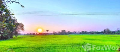 /international/th/บ้านทุ่งสว่าง-บ้านดงเมือง-ลำพาน-กาฬสินธุ์-46000-ประเทศไทย-กาฬสินธุ์-340000117974/