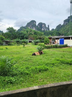 /international/th/ซอย-ช่องพลี-1-อ่าวนาง-กระบี่-81180-ประเทศไทย-กระบี่-krabi-340066020352/