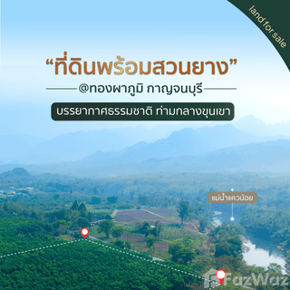 /international/th/ถนน-แสงชูโต-ท่าขนุน-ทองผาภูมิ-กาญจนบุรี-71180-ประเทศไทย-ทองผาภูมิ-340000106885/