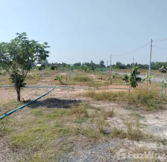 /international/th/สมร-มุ่งหมาย-บางอ้อ-บ้านนา-นครนายก-26110-ประเทศไทย-บ้านนา-chaiyaphum-340000094972/