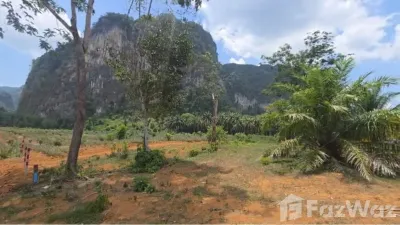 /international/th/กระบี่-81000-ประเทศไทย-กระบี่-krabi-340066024723/