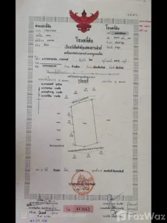 /international/th/ร้านบรรจงพาณิชย์-ต้นธง-ลำพูน-51000-ประเทศไทย-ลำพูน-340000143924/