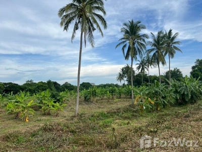 /international/th/แซนด์วิชแมรี่ส์-ในเมือง-หนองคาย-43000-ประเทศไทย-หนองคาย-340000031025/