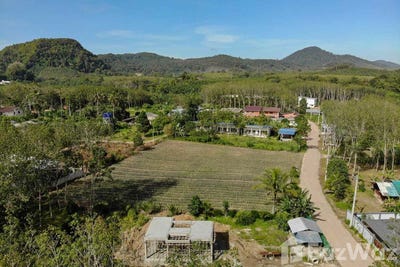 /international/th/4034-ไสไทย-กระบี่-81000-ประเทศไทย-กระบี่-krabi-340000020351/