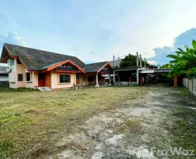 /international/th/ถนน-พหลโยธิน-บ้านต๋อม-พะเยา-56000-ประเทศไทย-พะเยา-340000025452/