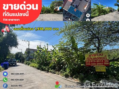 /international/th/3111-บางปรอก-ปทุมธานี-12000-ประเทศไทย-ปทุมธานี-340065994558/