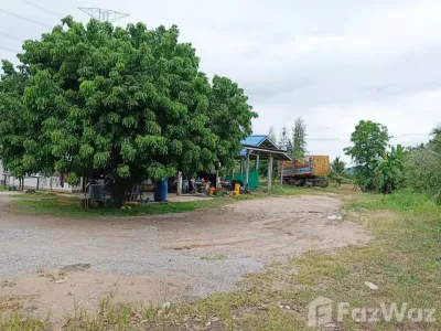 /international/th/344-หนองไผ่แก้ว-บ้านบึง-ชลบุรี-20220-ประเทศไทย-บ้านบึง-ang-thong-340066002548/