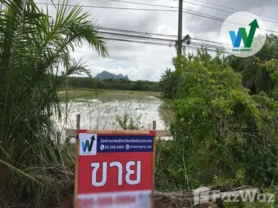 /international/th/ปากคลอง-บ้านสวน-อำเภอควนขนุน-จังหวัดพัทลุง-ประเทศไทย-ควนขนุน-340066072234/