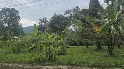 /international/th/45-km-highway-121-suthep-mueang-chiang-mai-chiang-mai-50200-tha-suthep-chiang-mai-340000088697/