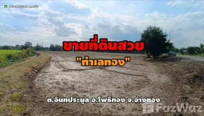 /international/th/สเต็กขุนอิน-อินทประมูล-โพธิ์ทอง-อ่างทอง-14120-ประเทศไทย-โพธิ์ทอง-340000018748/