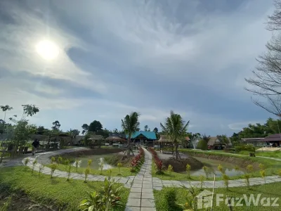 /international/th/ทางหลวงชนบท-ปจ-2027-หาดนางแก้ว-กบินทร์บุรี-ปราจีนบุรี-25110-ประเทศไทย-กบินทร์บุรี-340000113665/