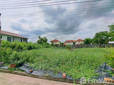 /international/th/bo-tokpla-ro-yo-samwa-tawan-tok-khlong-sam-wa-bangkok-10510-thailand-khlong-sam-wa-bangkok-340065840325/