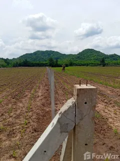 /international/th/ทางหลวงชนบท-สบ-1026-เขาดินพัฒนา-เฉลิมพระเกียรติ-สระบุรี-18000-ประเทศไทย-เฉลิมพระเกียรติ-340066024682/