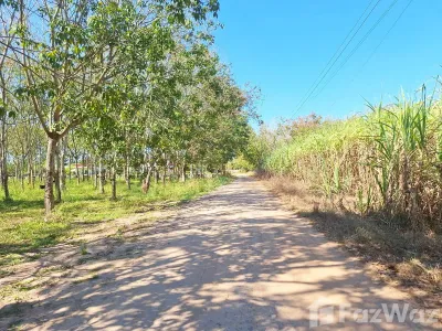 /international/th/213-อด-2117-หนองวัวซอ-อุดรธานี-41360-ประเทศไทย-หนองวัวซอ-340000035034/