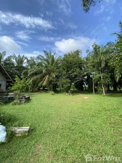 /international/th/บ้านทรายทอง-นาใต้-บ้านนาเดิม-สุราษฎร์ธานี-84240-ประเทศไทย-บ้านนาเดิม-340065837931/