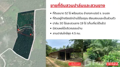 /international/th/กะเปอร์-อำเภอกะเปอร์-จังหวัดระนอง-ประเทศไทย-กะเปอร์-340066158903/