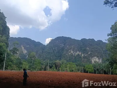 /international/th/ซอย-อ่าวนาง-3-อ่าวนาง-กระบี่-81180-ประเทศไทย-กระบี่-krabi-340066020603/