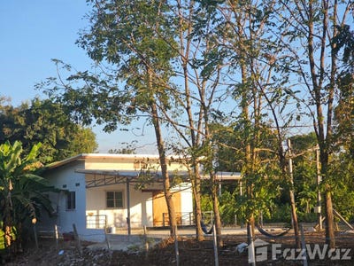 /international/th/ซอยเจริญผล-สะเดียง-เพชรบูรณ์-67000-ประเทศไทย-เพชรบูรณ์-340000156660/