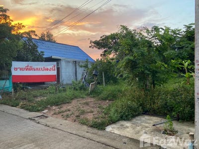 /international/th/ประตูน้ำ-ช็อป-ซอย-1-โคกวัด-คอหงส์-หาดใหญ่-สงขลา-90110-ประเทศไทย-หาดใหญ่-340000154694/