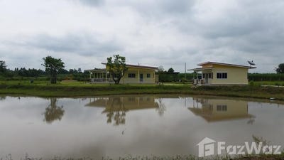 /international/th/บ้านหนองไผ่-หนองกุลา-บางระกำ-พิษณุโลก-65140-ประเทศไทย-บางระกำ-340000145212/