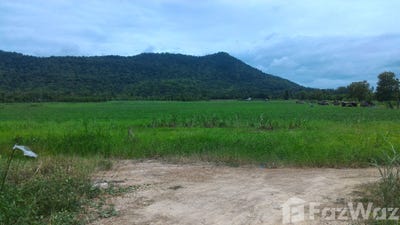 /international/th/1294-ศรีสัชนาลัย-สุโขทัย-64190-ประเทศไทย-ศรีสัชนาลัย-340000122157/