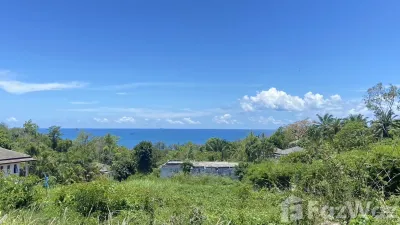 /international/th/กระบี่-81000-ประเทศไทย-กระบี่-krabi-340066024507/