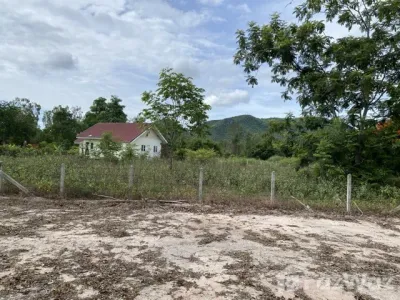 /international/th/big-bear-resort-cha-am-huai-sai-nuea-cha-am-phetchaburi-76120-thailand-cha-am-phetchaburi-340066072237/