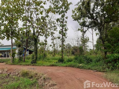 /international/th/ขาย-วังหลุม-ตะพานหิน-พิจิตร-66150-ประเทศไทย-ตะพานหิน-340000094678/
