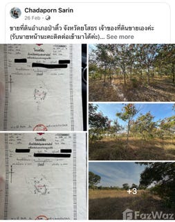 /international/th/แบมแบม-โพธิ์ไทร-ป่าติ้ว-ยโสธร-35150-ประเทศไทย-ป่าติ้ว-340000158931/