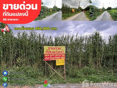 /international/th/หน้าหมู่บ้านเอื้ออาทรบางบัวทอง-1-ถนน-บางกรวย-ไทรน้อย-บางบัวทอง-นนทบุรี-11110-ประเทศไทย-บางบัวทอง-340000091499/