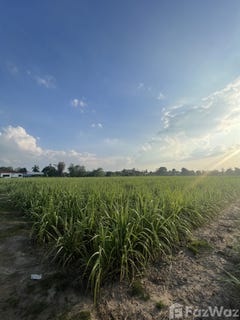 /international/th/ถนน-เลี่ยงเมือง-ซอย-6-ในเมือง-กำแพงเพชร-62000-ประเทศไทย-กำแพงเพชร-340000109386/