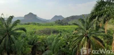 /international/th/ซอย-พัฒนา-2-อ่าวนาง-กระบี่-81180-ประเทศไทย-กระบี่-krabi-340066033048/