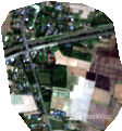 /international/th/koi-chalermpol-is-with-kritphak-บ้านนา-นครนายก-26110-ประเทศไทย-บ้านนา-chaiyaphum-340065995554/