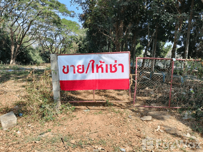 /international/th/72-31-ถนน-สันโค้งหลวง-ซอย-7-2-หมู่ที่-4-รอบเวียง-เชียงราย-57000-ประเทศไทย-เชียงราย-340000108910/