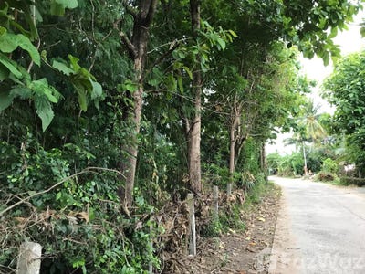 /international/th/บ้านสวายสอ-สวายจีก-บุรีรัมย์-31000-ประเทศไทย-บุรีรัมย์-340000157388/